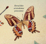 Butterfly Stamp Icaricia Icarioides Missionensis Euphydryas S/S MNH #3019/Bl.416