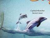 Dolphins Stamp Platanista Gangetica Cephalorhynchus Hectori Maui S/S MNH #3034