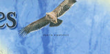 Raptors Stamp Birds Aquila Rapax Aquila Nipalensis Eagle S/S MNH #3029 / Bl.715