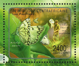 Butterflies Stamp Colotis Ione Belenois Aurota Eurema Hecabe S/S MNH #2996