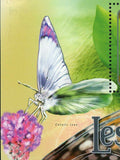 Butterflies Stamp Colotis Ione Belenois Aurota Eurema Hecabe S/S MNH #2996