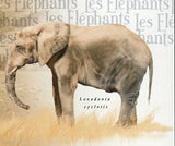 Elephants Stamp Loxodonta Africana Loxodonta Cyclotis S/S MNH #3069 / Bl.723