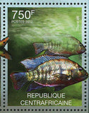 Freshwater Fish Stamp Brycinus Malapterurus Microstoma S/S MNH #3627-3630