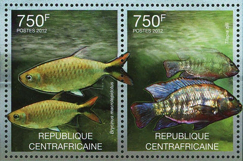 Freshwater Fish Stamp Brycinus Malapterurus Microstoma S/S MNH #3627-3630