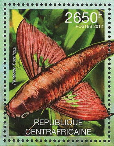 Freshwater Fish Stamp Pantodon Buchholzi Marine Fauna S/S MNH #3631 / Bl.941