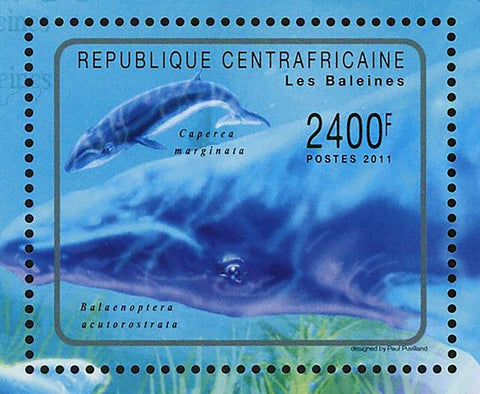 Whales Stamp Caperea Marginata Physeter Macrocephalus Berardius S/S MNH #3071