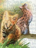 Wild Cats Stamp Profelis Aurata Leptailurus Serval Felis S/S MNH #3066/Bl. 720