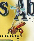 Bees Stamp Jean Henri Fabre Apis Mellifera Scutellata Monticola S/S MNH #2981