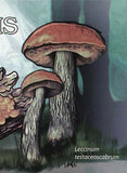 Mushrooms Stamp Boletus Regius Xerocomus Pulverulentus S/S MNH #4824-4825/Bl.825