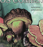 Mushrooms Stamp Boletus Regius Xerocomus Pulverulentus S/S MNH #4824-4825/Bl.825