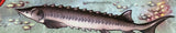 Fish Stamp Regalecus Glesne Lampris Guttatus Istiophorus S/S MNH #4850-4851
