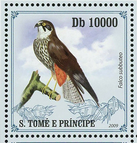 Birds of Prey Stamp Ninox Strenua Sarcoramphus Papa Falcon S/S MNH #4266-4270