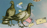 War Pigeons Stamp Military Birds Postage Stamps Souvenir Sheet MNH #4119 /Bl.703