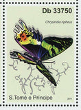 Butterflies Stamp Urania Sloanus Alcides Aurora Anaea Electra S/S MNH #4905-4908