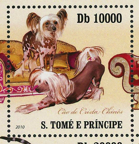 Cats & Dogs Stamp Esfinge Devon Rex Terrier Italian Greyhound S/S MNH #4308-4313