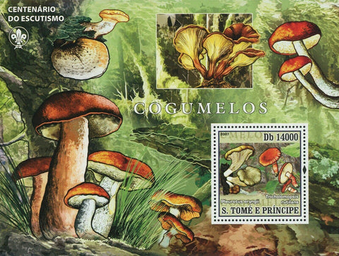 Mushrooms Stamp Pleurotus Eryngii Tricholomopsis Rutilans Souvenir Sheet MNH