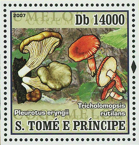 Mushrooms Stamp Pleurotus Eryngii Tricholomopsis Rutilans Souvenir Sheet MNH