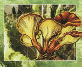 Mushrooms Stamp Pleurotus Eryngii Tricholomopsis Rutilans Souvenir Sheet MNH