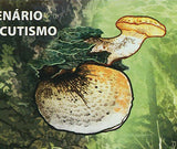 Mushrooms Stamp Pleurotus Eryngii Tricholomopsis Rutilans Souvenir Sheet MNH