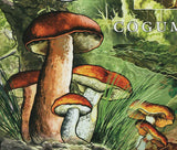 Mushrooms Stamp Pleurotus Eryngii Tricholomopsis Rutilans Souvenir Sheet MNH