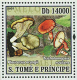 Mushrooms Stamp Pleurotus Eryngii Tricholomopsis Rutilans Souvenir Sheet MNH