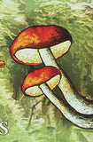 Mushrooms Stamp Pleurotus Eryngii Tricholomopsis Rutilans Souvenir Sheet MNH