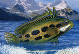 Fish Stamp Osphronemidae Chaetodon Lineolatus Souvenir Sheet MNH
