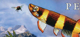 Fish Stamp Osphronemidae Chaetodon Lineolatus Souvenir Sheet MNH