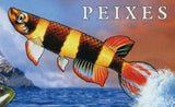 Fish Stamp Osphronemidae Chaetodon Lineolatus Souvenir Sheet MNH