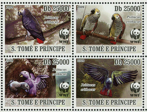 Parrots WWF  Stamp Birds Psittacus Erithacus Souvenir Sheet MNH #3777-3780