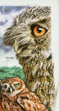 Owls Stamp Birds Bubo Bengalensis Asio Flammeus Otus spp. S/S MNH #5724 / Bl.100