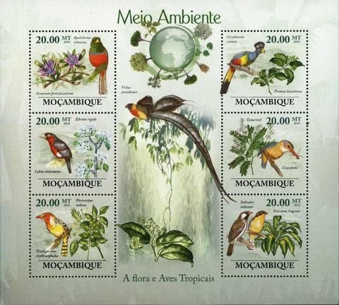 Flora & Tropical Birds Stamp Ehretia Rigida Lybius Bidentatus S/S MNH #3489-3494