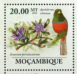 Flora & Tropical Birds Stamp Ehretia Rigida Lybius Bidentatus S/S MNH #3489-3494