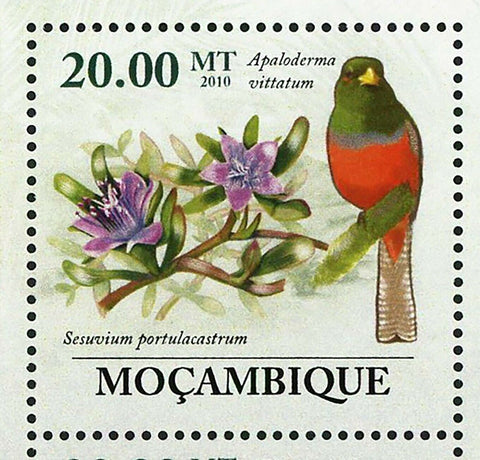 Flora & Tropical Birds Stamp Ehretia Rigida Lybius Bidentatus S/S MNH #3489-3494