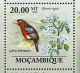 Flora & Tropical Birds Stamp Ehretia Rigida Lybius Bidentatus S/S MNH #3489-3494