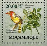 Flora & Tropical Birds Stamp Ehretia Rigida Lybius Bidentatus S/S MNH #3489-3494