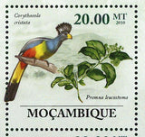 Flora & Tropical Birds Stamp Ehretia Rigida Lybius Bidentatus S/S MNH #3489-3494