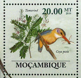 Flora & Tropical Birds Stamp Ehretia Rigida Lybius Bidentatus S/S MNH #3489-3494