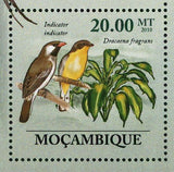 Flora & Tropical Birds Stamp Ehretia Rigida Lybius Bidentatus S/S MNH #3489-3494