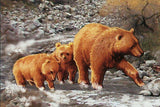 Bears Stamp Wild Animal Ursus Maritimus Mammal Souvenir Sheet MNH #3053 / Bl.598