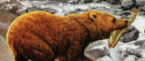 Bears Stamp Wild Animal Ursus Maritimus Mammal Souvenir Sheet MNH #3053 / Bl.598