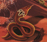 Snakes Stamp Eggs Nest Reptiles Serpent Souvenir Sheet MNH #3048 / Bl.593