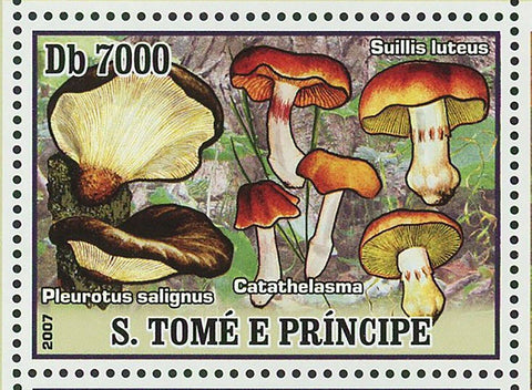Mushrooms Stamps Suillus Luteus Catathelasma Pleuritis Salignus S/S MNH #3004
