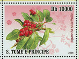 Medicinal Plants Stamp Dodonaea Viscosa Sephora Denudata S/S MNH #3364-3369