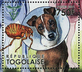World Veterinary Year 2011 Stamp Dogs Pet Domestic Animal S/S MNH #4100-4105