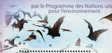 Bats Stamp International Year Fruits Epomops Franqueti S/S MNH #4063 / Bl.622