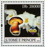 Orchids & Mushrooms Stamp Coelogyne Mooreana S/S MNH #2091 / Bl.426