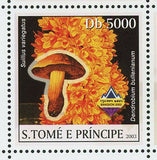 Orchids & Mushrooms Stamp Tylopilus Felleus Suillus Placidus S/S MNH #1995-2000