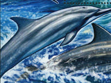 Dolphins Stamp Stenella Longirostris Lagenodelphis Hosel S/S MNH #3078 / Bl.635