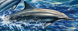 Dolphins Stamp Stenella Longirostris Lagenodelphis Hosel S/S MNH #3078 / Bl.635